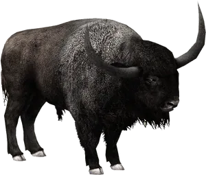 Majestic Bison Profile PNG Image