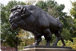 Majestic Bison Statue PNG Image