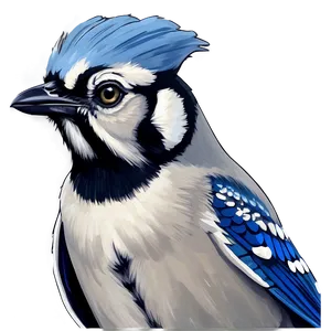 Majestic Blue Jay Portrait Png 06262024 PNG Image