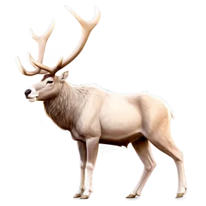 Majestic Caribou Png Sku PNG Image