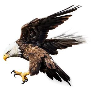 Majestic Eagle Flying PNG 06112024 PNG