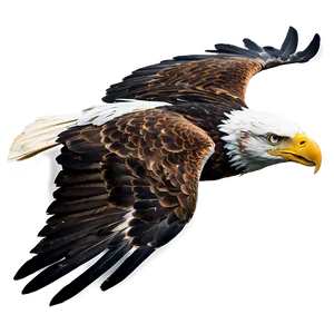 Majestic Eagle Flying PNG 9 PNG