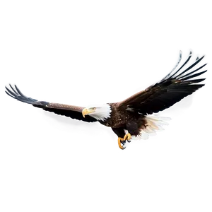 Majestic Eagle Flying PNG Slr95 PNG