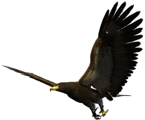 Majestic_ Eagle_ In_ Flight.png PNG Image