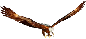 Majestic Eaglein Flight PNG Image