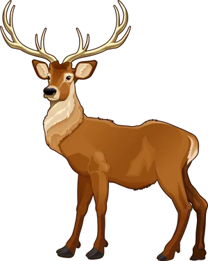 Majestic Elk Illustration PNG Image