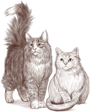 Majestic_ Feline_ Pair_ Illustration.png PNG Image