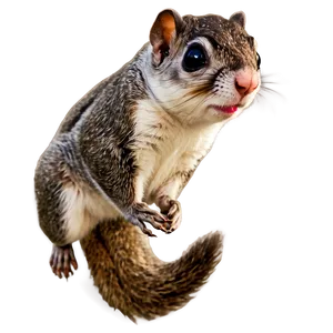 Majestic Flying Squirrel Png Edc PNG Image