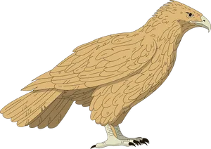 Majestic Hawk Illustration PNG Image