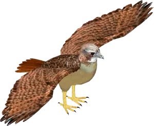 Majestic Hawk In Flight.png PNG Image