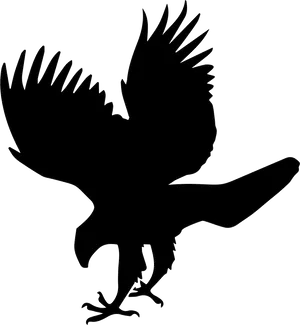 Majestic Hawk Silhouette PNG Image