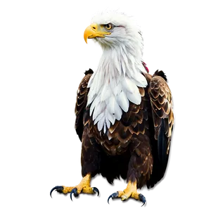 Majestic Mexican Eagle Png Byv PNG Image