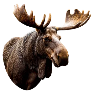 Majestic Moose Head Artwork Png Sjx PNG Image