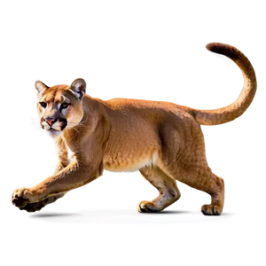 Majestic Mountain Lion Png Ffe PNG Image