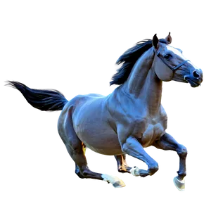 Majestic Mustang Horse Gallop Png Mgu PNG Image