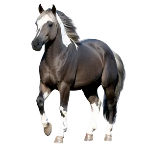 Majestic Mustang Horse Pose Png 93 PNG Image