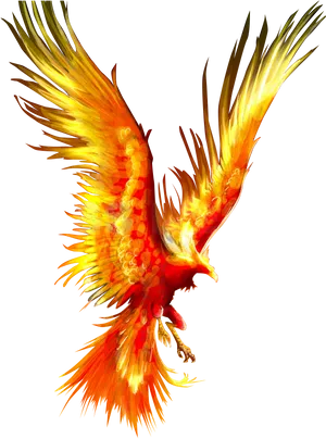 Majestic Phoenix Art PNG Image