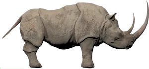 Majestic Rhino Profile PNG Image