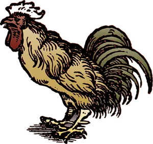 Majestic Rooster Illustration PNG Image