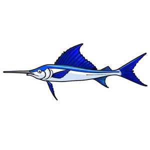 Majestic Sailfish Sketch Png 06262024 PNG Image