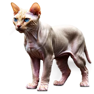 Majestic Sphynx Cat Standing Png 06292024 PNG Image