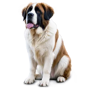 Majestic St Bernard Standing Png 06292024 PNG Image