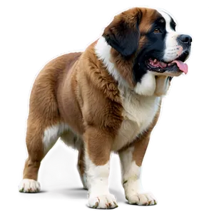 Majestic St Bernard Standing Png 46 PNG Image