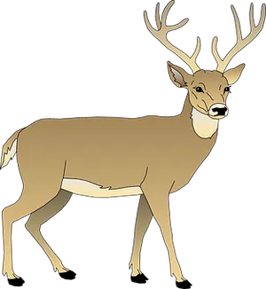 Majestic Stag Illustration PNG Image