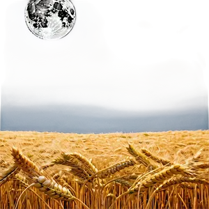 Majestic Wheat Field Full Moon Png 14 PNG Image