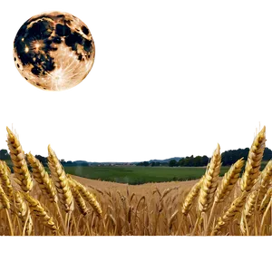 Majestic Wheat Field Full Moon Png Qro92 PNG Image