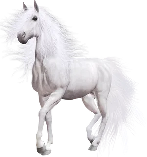 Majestic White Horse Flowing Mane PNG Image