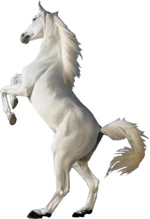 Majestic White Horse Rearing PNG Image