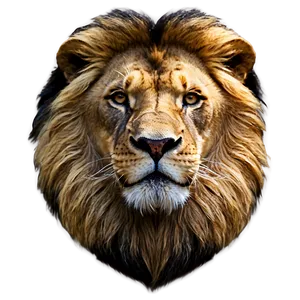 Male Lion Majesty Png Ygd PNG Image