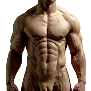 Male Torso Sketch Png Qne PNG Image