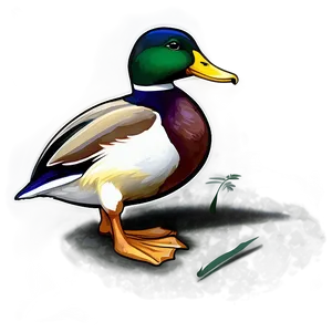 Mallard Duck Feeding Png 66 PNG Image