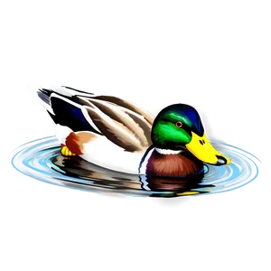 Mallard Duck In Water Png Pum18 PNG Image