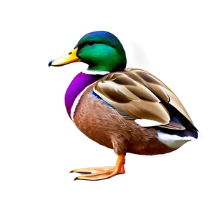 Mallard Duck Scene Png Puw PNG Image