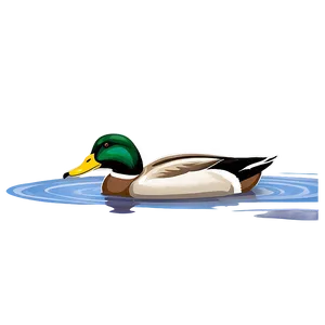 Mallard Duck Swimming Png Hgh PNG Image