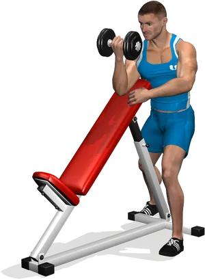 Man Performing Dumbbell Curlsat Gym PNG Image