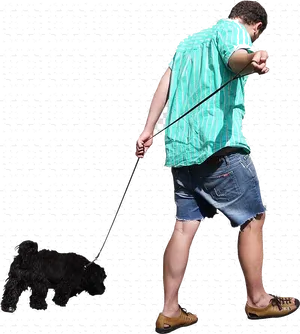 Man Walking Dog Transparent Background PNG Image