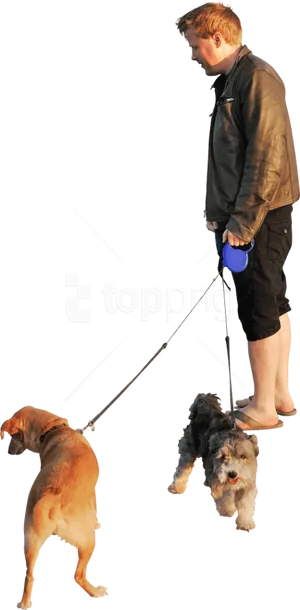 Man Walking Dogsat Night PNG Image