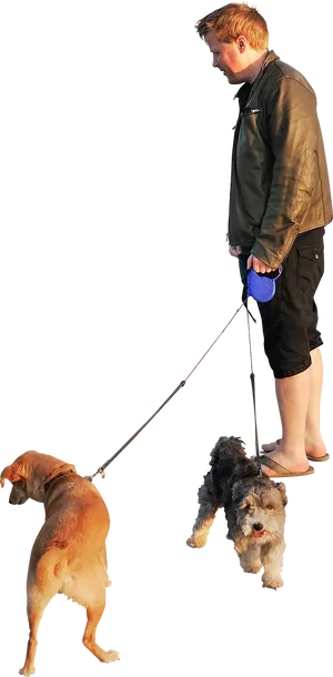 Man Walking Dogsat Night PNG Image