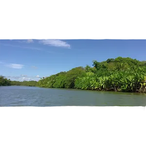 Mangrove Fishing Community Png Yal PNG Image