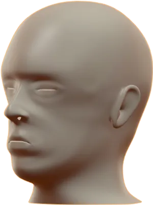 Mannequin Head Profile View PNG Image