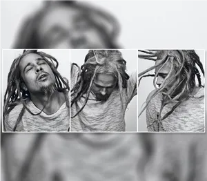 Manwith Dreadlocks Triptych PNG Image