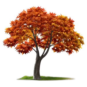 Maple Tree Autumn Splendor Png 66 PNG Image