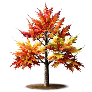 Maple Tree C PNG Image