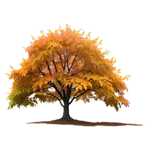 Maple Tree In Foggy Morning Png Qvl36 PNG Image