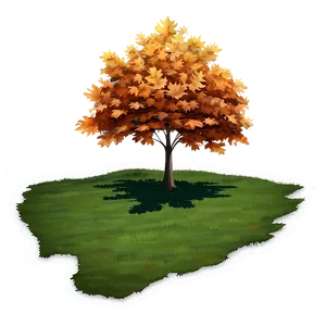 Maple Tree Shadow On Ground Png 3 PNG Image