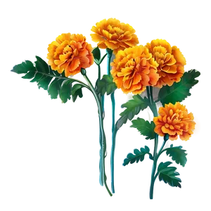 Marigolds For Day Of The Dead Png Chh45 PNG Image